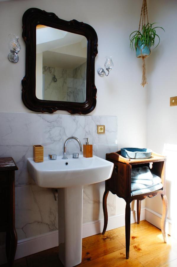 La Maison Verte Albi Dış mekan fotoğraf